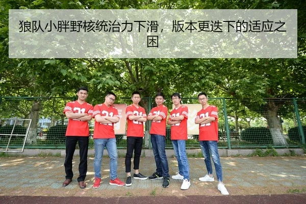 lang-dui-xiao-pang-ye-he-tong-zhi-li-xia-hua-ban-ben-geng-die-xia-de-shi-ying-zhi-kun-3-471.jpg