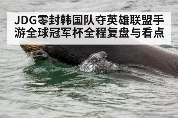 JDG零封韩国队夺英雄联盟手游全球冠军杯全程复盘与看点