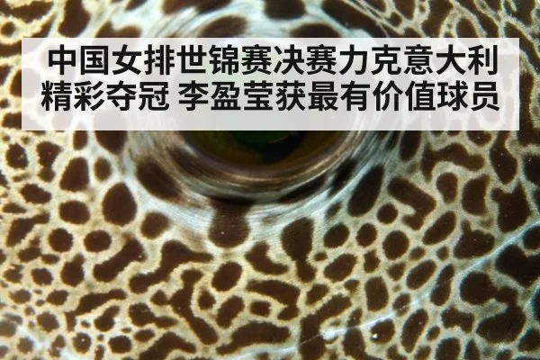 中国女排世锦赛决赛力克意大利精彩夺冠 李盈莹获最有价值球员