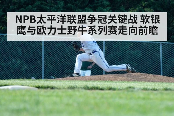 NPB太平洋联盟争冠关键战 软银鹰与欧力士野牛系列赛走向前瞻